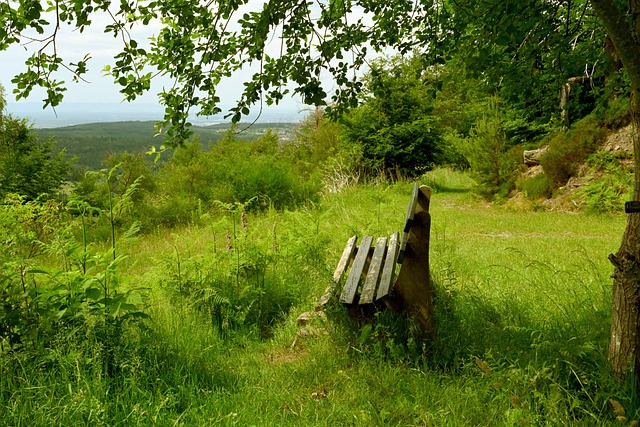 牌的预示 牌的预示