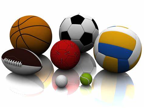 球队阵容的 球队阵容的