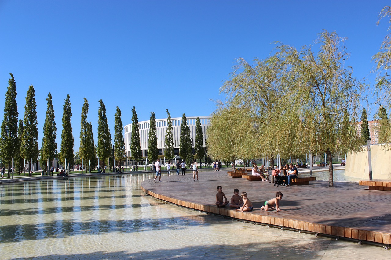 在比赛中 在比赛中