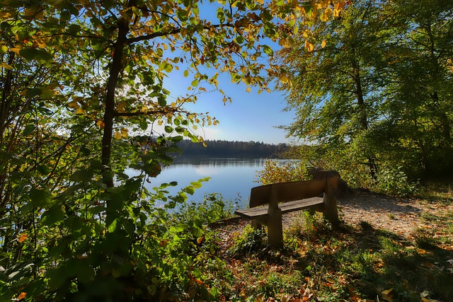 欧洲足球在 欧洲足球在